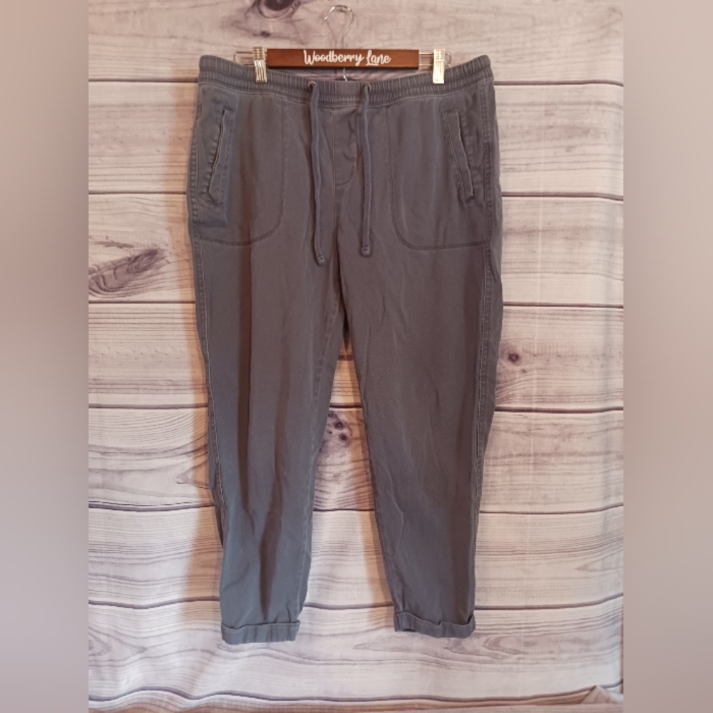 Time and Tru Joggers